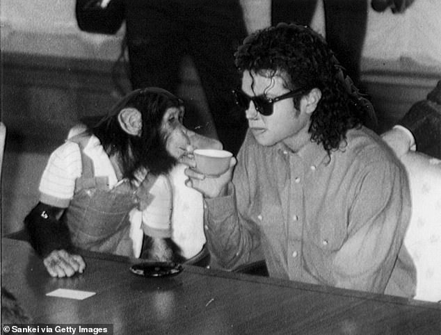 Jackson and Bubbles made a number of public appearances together, including when the pair drank tea while visiting government officials in Japan in 1987 (seen above)