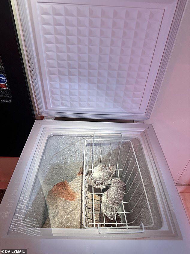 A human torso and other dismembered body parts are frozen inside the chest freezer, waiting for consumption at a later date