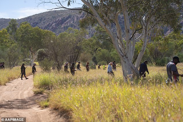 More than 100 volunteers are combing the tall weeds near Old Timers camp