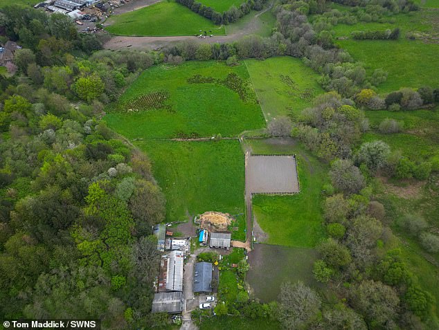 The retired horticulturalist and renowned horse judge hoped Far Meadow Farm (pictured) would be his forever home until in 2016, Tameside Metropolitan Borough Council unveiled plans for a controversial residential development - Godley Green Garden Village