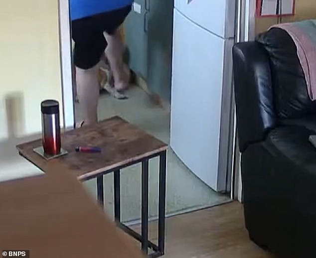 Holloway is seen marching into the kitchen in a pair of black shorts before she bends over the animal, dealing it a number of hard kicks