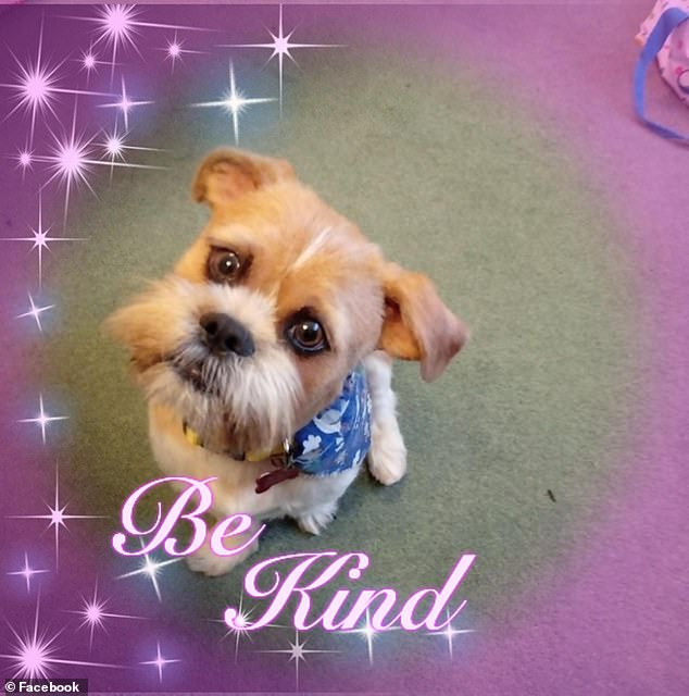 In a Facebook post, Holloway shares an image of a dog, who appears to be Shuini - ironically captioning it 'Be Kind'