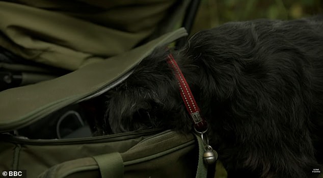 Fans of Gone Fishing will know that Ted often helped himself to the food left out by Bob and Paul for their lunch on their fishing trips - from cheese to Jammie Dodgers, and even the bait for the fish