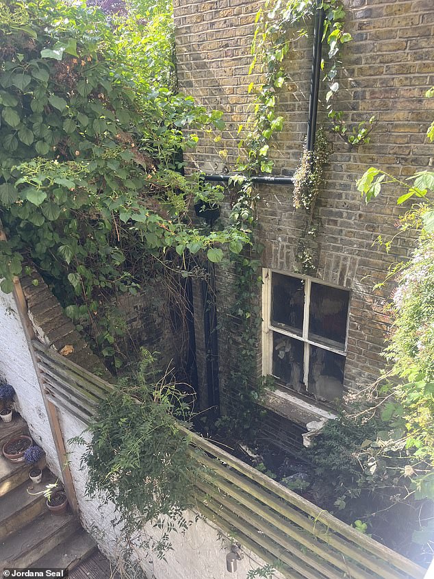 Pictured: A view from Mr Halbritter's Chelsea neighbours' home showing his decaying garden