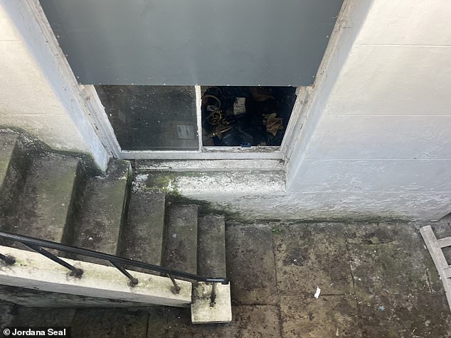 Pictured: The stairs down to Mr Halbritter's Chelsea basement, which is usually strewn with rubbish