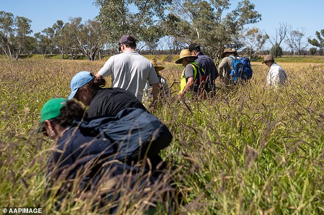 People looking for Kumanjayi Little Baby are pictured on day five of one of the Northern Territory's biggest searches