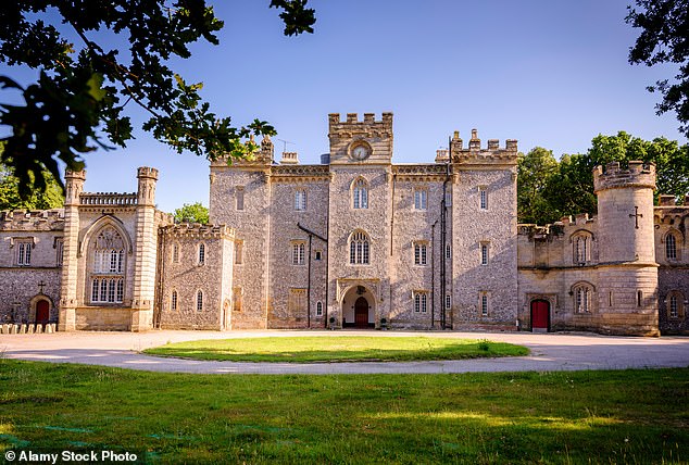 Lady Colin Campbell's castle near Worthing - which she also runs as a wedding venue