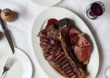 A carnivore’s arcadia | Lisa Hilton