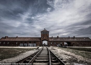 As the Nazis took control, the family was split up with Sigi being sent to Auschwitz