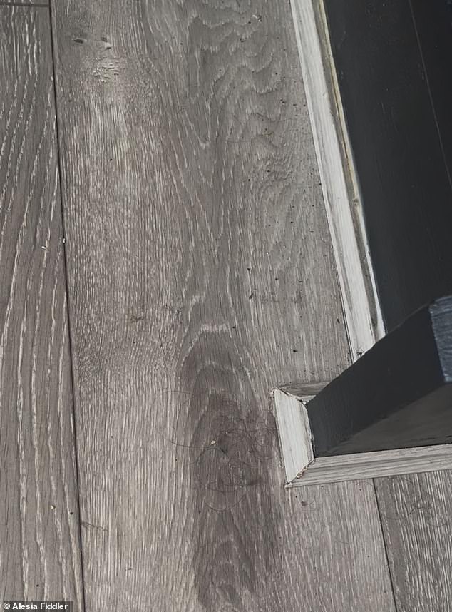 Closer inspection revealed clumps of hair on the floor, along with dirt and grime