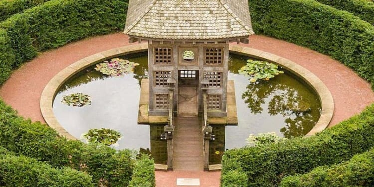 A revolutionary king | Marian Boswall