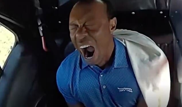 Tiger Woods pictured yawning in the back of a police car after his arrest for driving under the influence last month