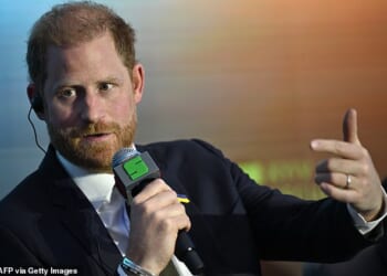 Watching Prince Harry address the Kyiv Security Forum on a secret visit, I wasn't sure whether to laugh or cry, writes Amanda Platell. He said in all solemnity: 'I am not here as a politician'