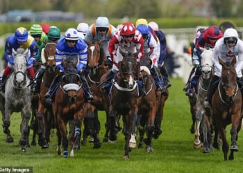 Aintree horse Get on George is put down on Grand National day just 24 hours after Gold Dancer's tragic death
