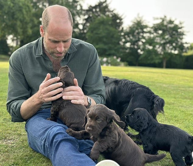 The Prince of Wales is photographed earlier this year with his dog Orla and three other puppies