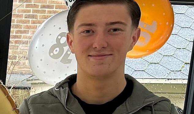 Henry Nowak (pictured), 18, from Chafford Hundred, Essex, died after being stabbed repeatedly during an altercation in Southampton in December 2025