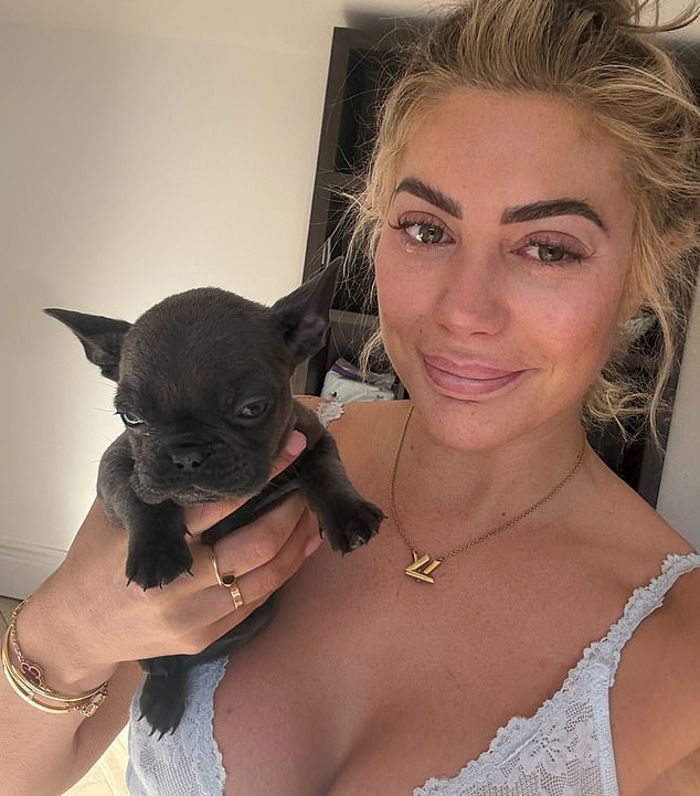 Reality star Chloe Ferry with her new Blue Frenchie puppy, which was a gift from her boyfriend