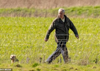 The former Duke of York, 66, was spotted making the trip from Wood Farm to Marsh Farm, on the Sandringham Estate, with only his dogs for company, on Monday