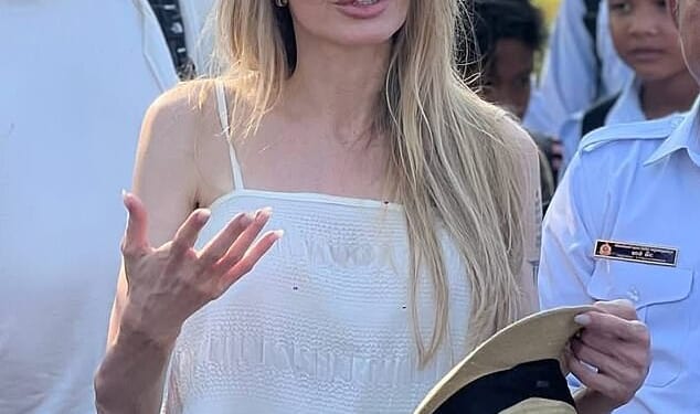 Angelina Jolie appeared in Cambodia this week after shocking fans with a seemingly new look