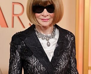 Fashion icon Anna Wintour has given an icy review of Melania Trump's outfits