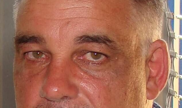 Schoeman van Jaarsveld, 58, was on a morning patrol with his team at the Samara Karoo Reserve in South Africa when a 1,300kg double-horned rhino burst out of cover and impaled him