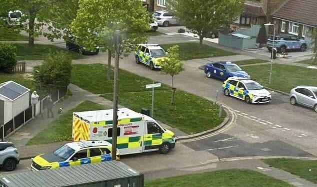 Police and paramedics were pictured in Southend-on-Sea after being called to reports of gunshots