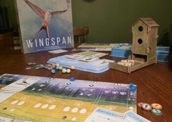 Best board games: Your ultimate guide to what to play from cult classics to the fun garden-friendly games you can play with the whole family