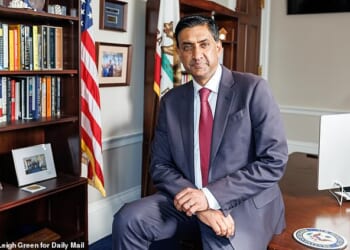 EXCLUSIVE: Democratic Representative Ro Khanna of California speaks to Daily Mail at his office in Washington, DC