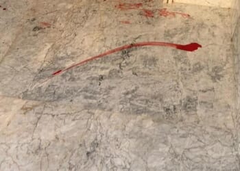 That is the horrifying scene unfolding the Moroccan city of Nador as officials massacre 'millions' of stray dogs to make way for the crowds attending the 2030 World Cup. The witnessed is stated as watching dogs shot outside her apartment, outside the lobby area