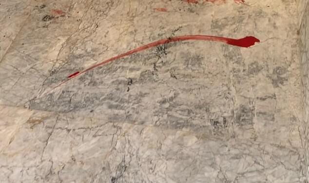 That is the horrifying scene unfolding the Moroccan city of Nador as officials massacre 'millions' of stray dogs to make way for the crowds attending the 2030 World Cup. The witnessed is stated as watching dogs shot outside her apartment, outside the lobby area