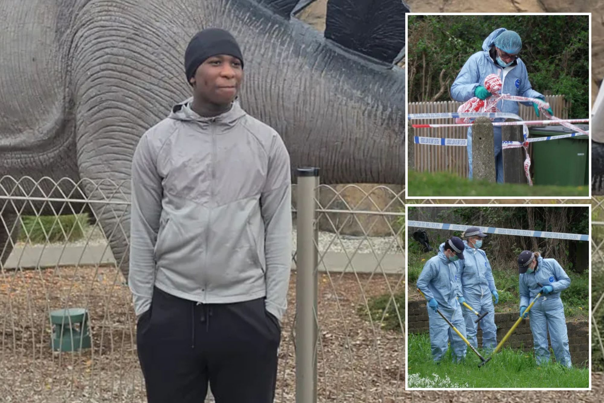 An image collage containing 3 images, Image 1 shows A person stands in front of a dinosaur statue, Image 2 shows A forensic investigator in a blue protective suit and gloves collects evidence from behind police tape, Image 3 shows Forensic officers in blue suits, hats, and masks search a grassy area with tools