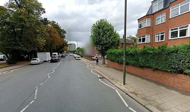 After a police chase, a black SUV carrying the three men crashed on Ballards Lane (pictured)