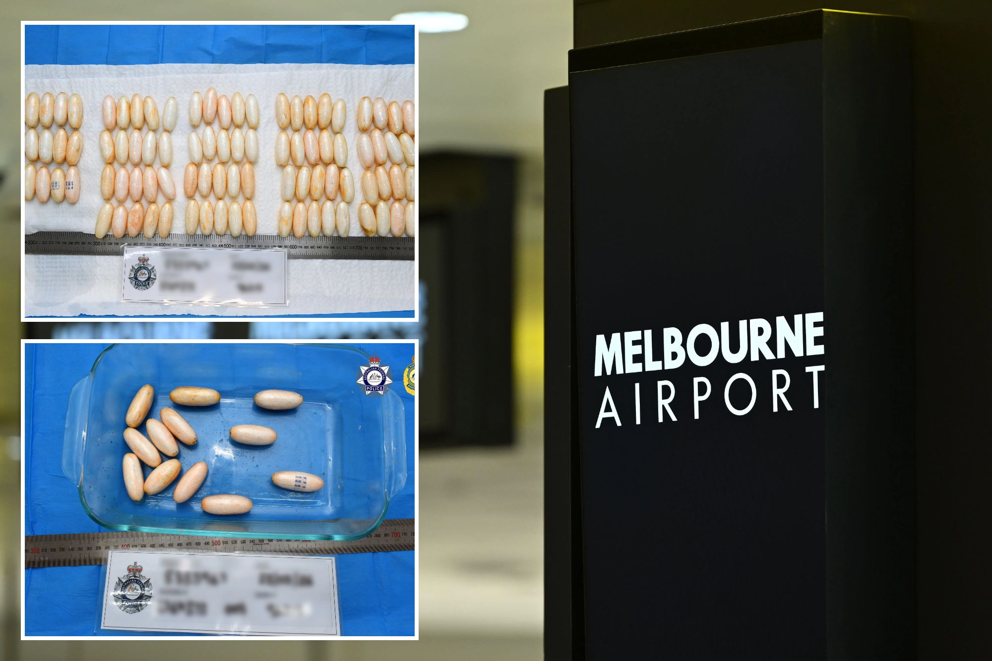 An image collage containing 1 images, Image 1 shows NINTCHDBPICT001071482386