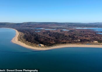 Studland Bay is perfect for strolls, swimming and sunbathing - and is a haven for nature lovers
