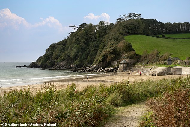 The beach at Mothecombe, Devon, is one of the less crowded ones in the area and is hailed for its quiet shores, unspoilt scenery and shallow waters