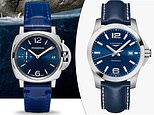 Can YOU clock the difference? The affordable watches available for a fraction of the price of their luxury counterparts