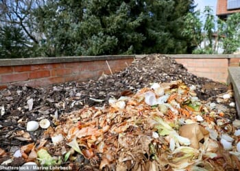 A stench too far? This is Money readers want to know if their new neighbours can force them to get rid of their brick compost heaps