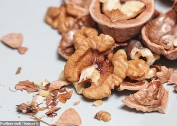 For many of us, walnuts evoke images of neglected mixed nuts bowls at Christmas - the last resort after you¿ve exhausted all the more exciting, but not-so-nutritious, snacks