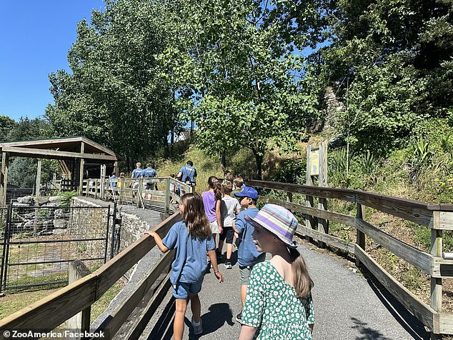 ZooAmerica said visitors were expected to 'remain within designated areas and closely supervise children at all times'