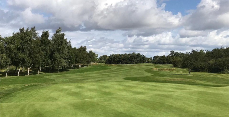 A golf course with a striped green fairway, lined by trees on the left and a dense forest in the distance under a cloudy sky.