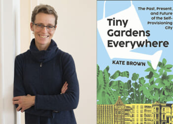 City gardening sprouts in urban wastelands