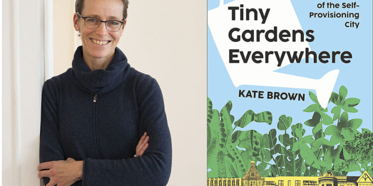 City gardening sprouts in urban wastelands