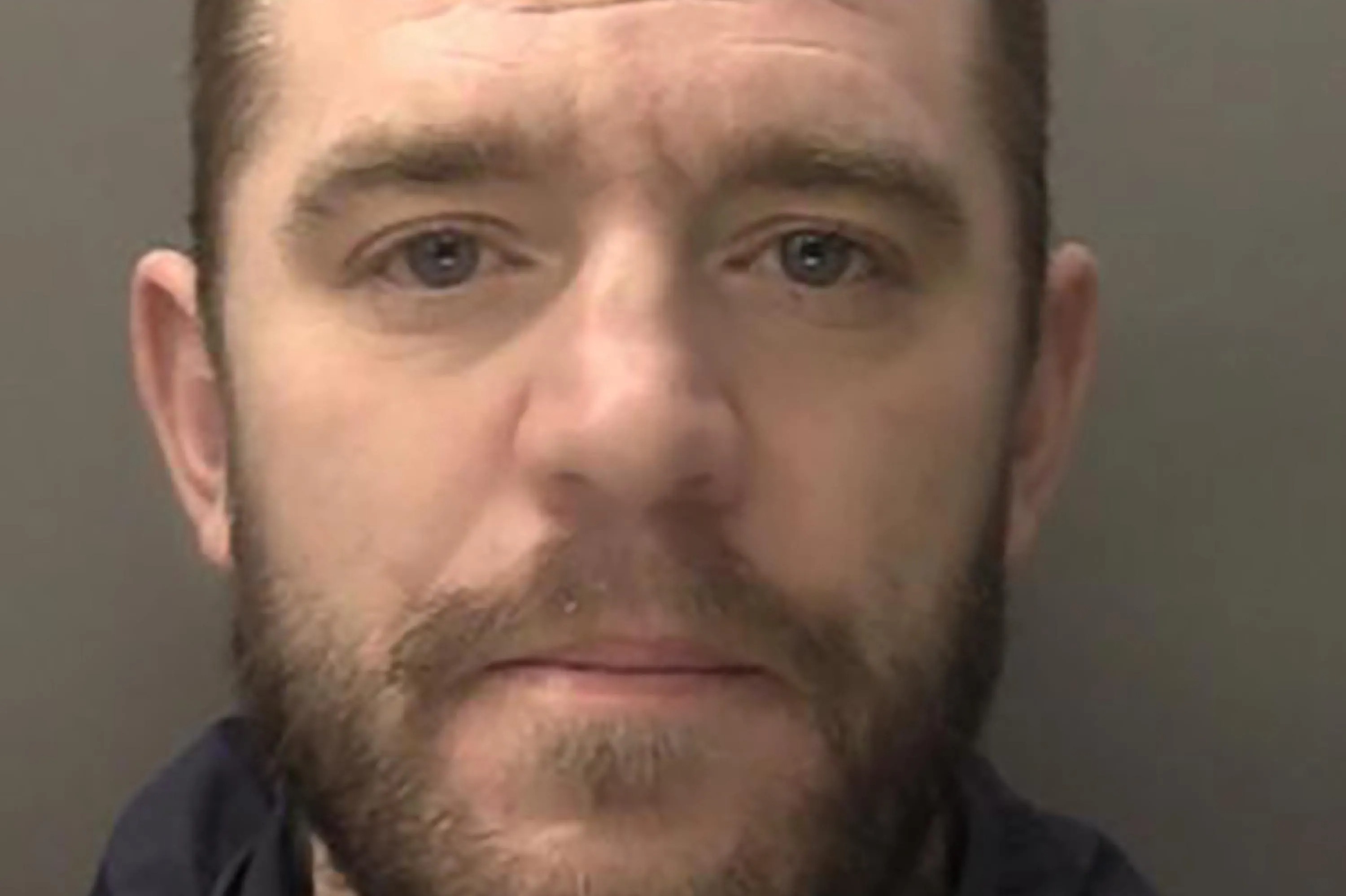 A man with a beard, light brown hair, and blue eyes.