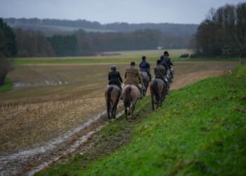 Countryside counter-attack | Sam Butler
