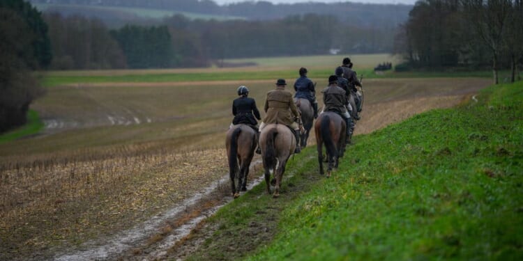 Countryside counter-attack | Sam Butler