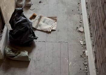 While ripping up carpets from the downstairs hallway, Sophie Lane and her partner Matthew found a hatch in the floorboards