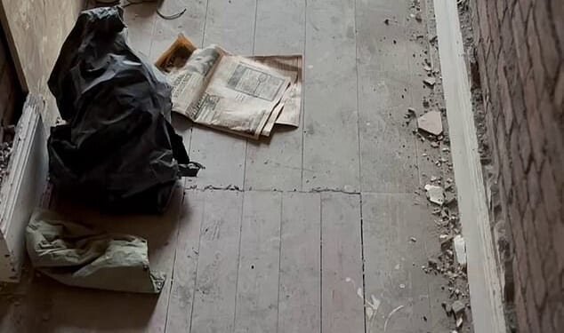 While ripping up carpets from the downstairs hallway, Sophie Lane and her partner Matthew found a hatch in the floorboards