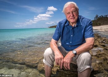 An encounter with David Attenborough is unforgettable. He's exactly like you'd imagine him to be – humorous, charming, erudite, modest and a passionate talker (pictured in 2016)