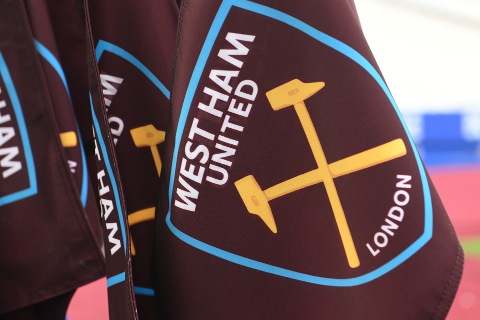 NINTCHDBPICT001071227691