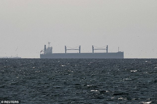 A cargo ship is pictured in the Strait of Hormuz as Iran's stranglehold on the pass-through continues